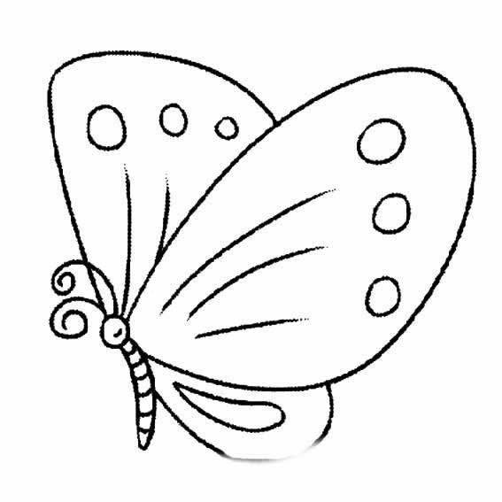 简单的蝴蝶 简笔画图片