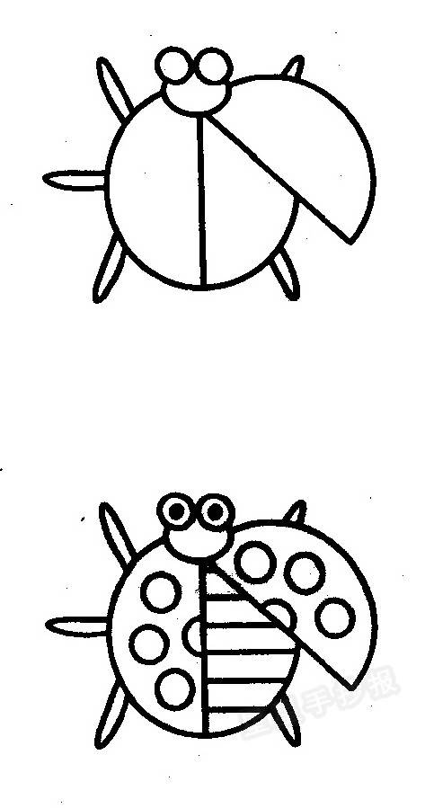 动物简笔画七星瓢虫图片
