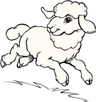 山坡上的羊简笔画图片