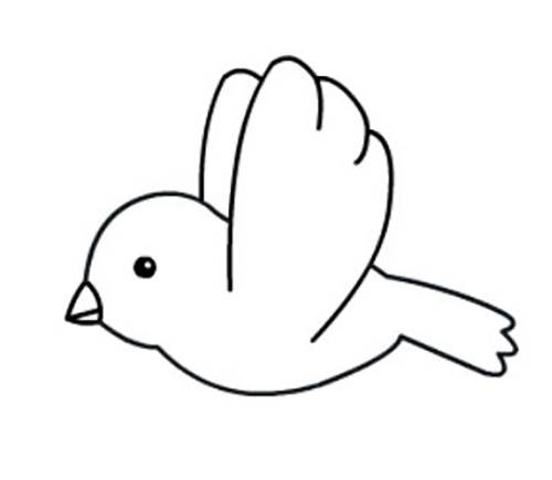 最新关于鸟的简笔画空中的小鸟简笔画
