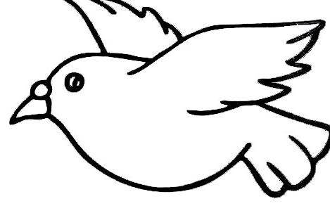 最新关于鸟的简笔画 空中的小鸟简笔画