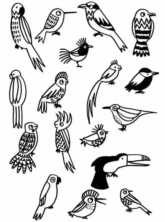 鸟类简笔画组合图片