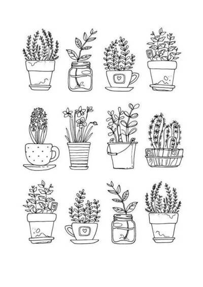 简笔画复杂植物图片