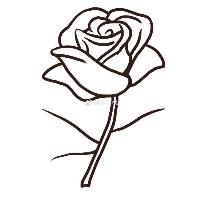 简单玫瑰花铅笔画图片