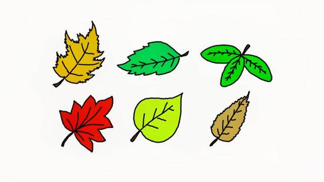五颜六色的叶子简笔画图片