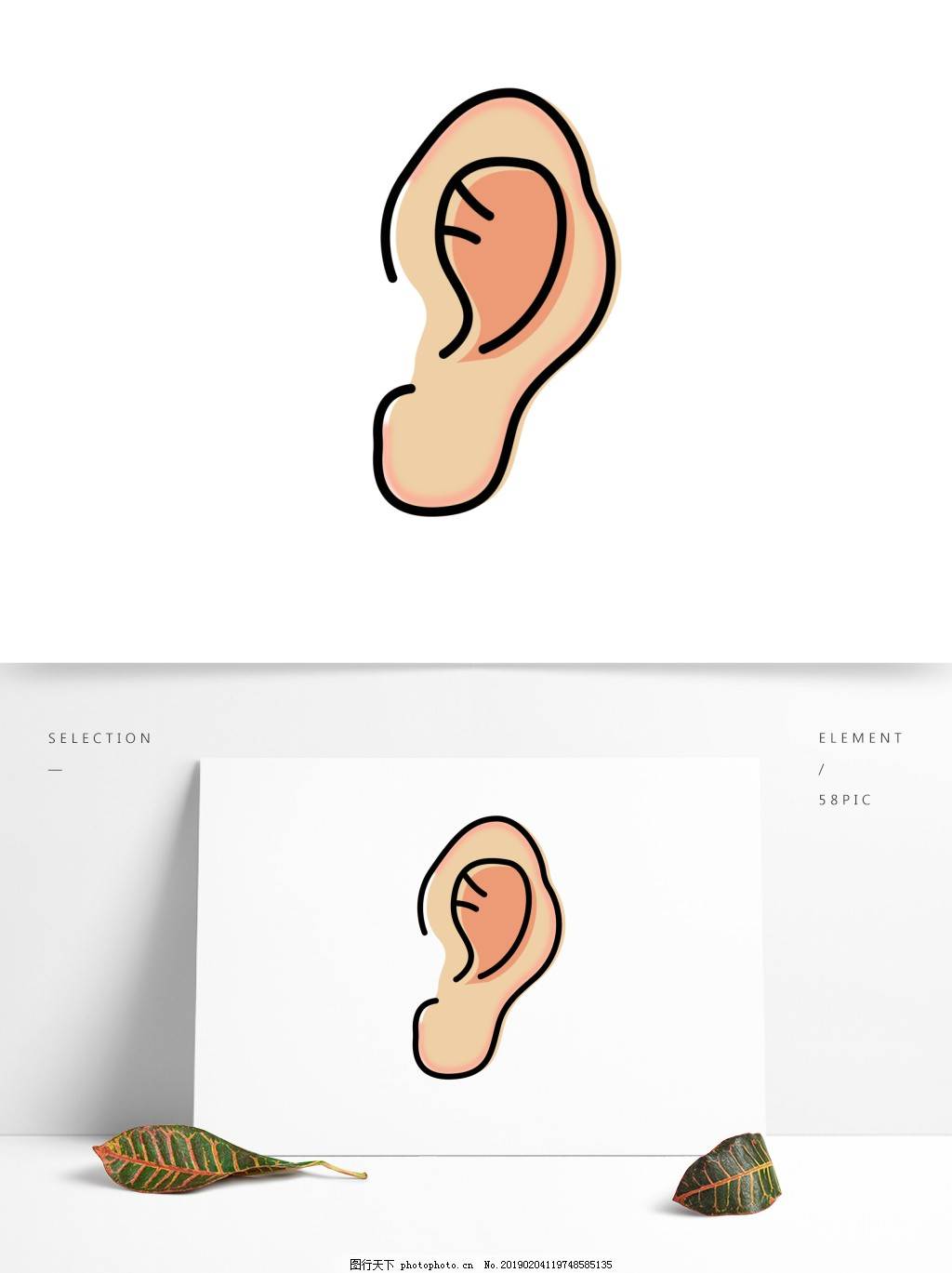 耳朵 简笔画卡通图片