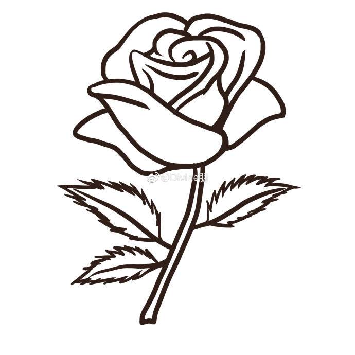 唯美玫瑰花的简笔画 玫瑰花的简笔画 简单漂亮