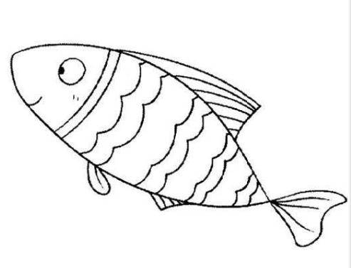 鱼最简单的画法图片