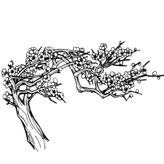 画一幅梅花树铅笔画图片