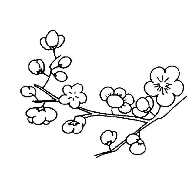 怎样画梅花树干和树枝图片