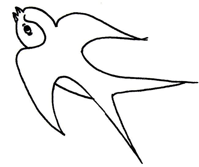 小燕子动物简笔画步骤图片大全每天学一幅简笔画