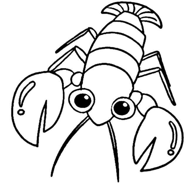 大龙虾怎么画的简笔画图片