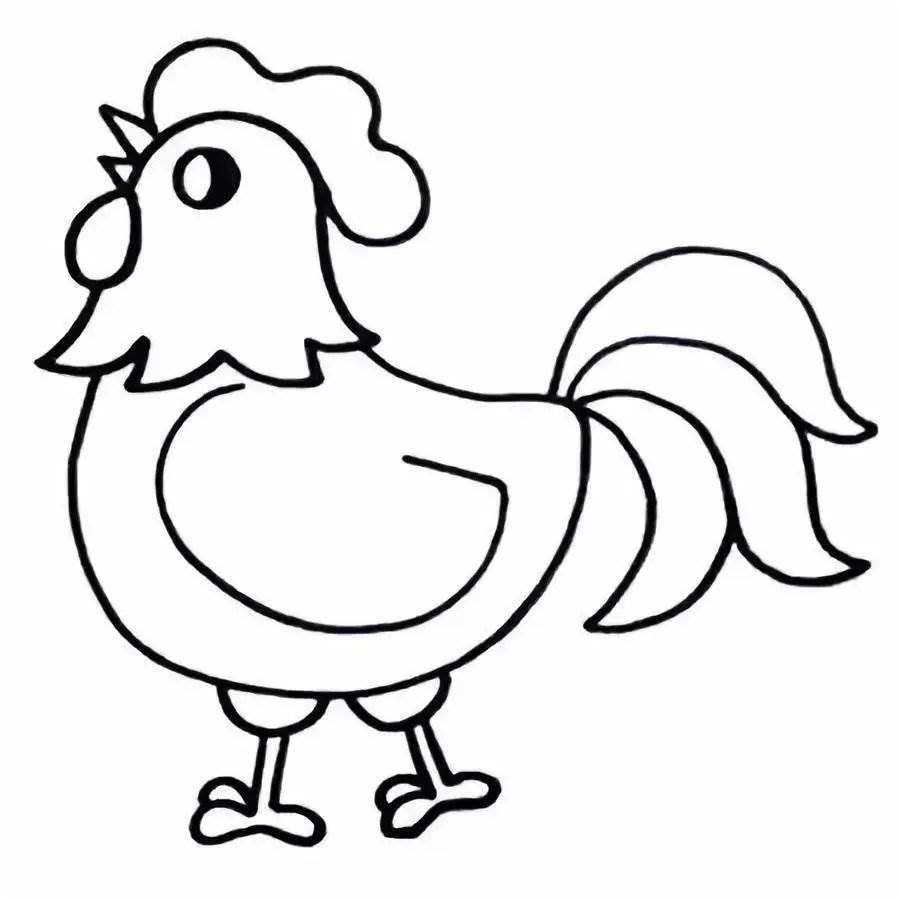 大公鸡简笔画 卡通图片