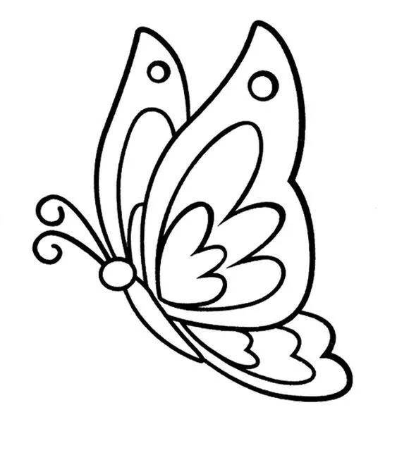 蝴蝶画法手把手教会你漂亮又简单的蝴蝶画法5种蝴蝶简笔画画法画蝴蝶
