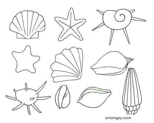 贝壳简单画法图片