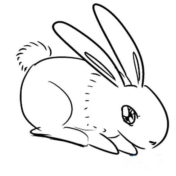 小白兔的简笔画 小白兔的简笔画 可爱