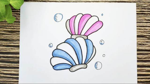 贝壳简笔画带颜色步骤图片