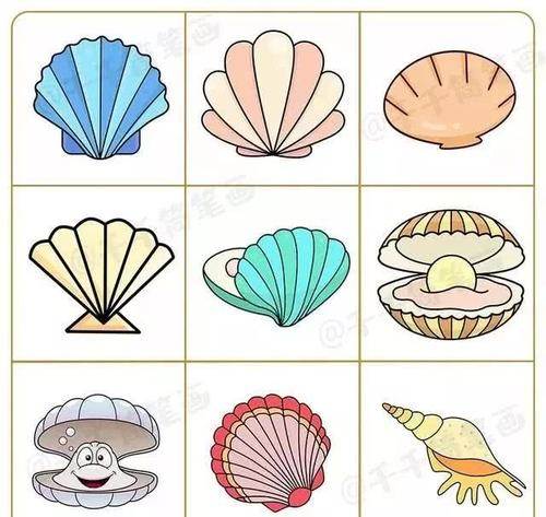 贝壳的画法 简单图片