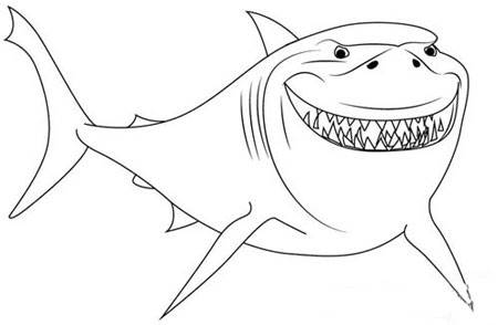 画巨齿鲨 简笔画图片