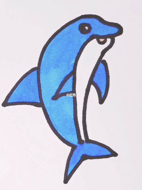 水族动物简笔画海豚图片