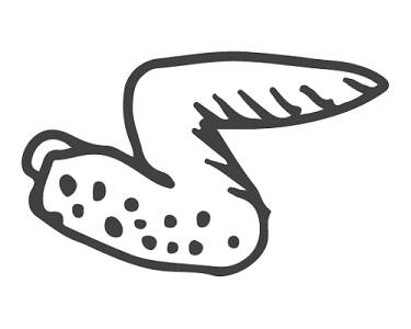 可乐鸡翅怎么画简图图片