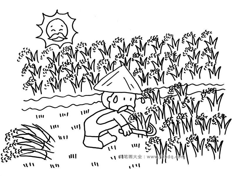 稻田的画法图片