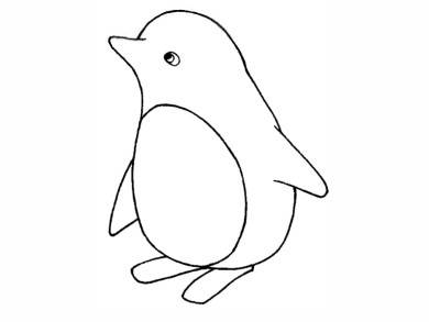 画可爱的小企鹅简笔画图片