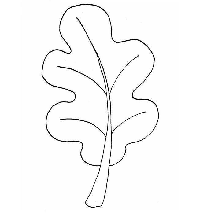 树叶形状简笔画简单图片