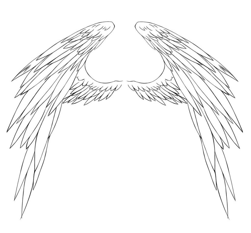 动漫翅膀的画法图片
