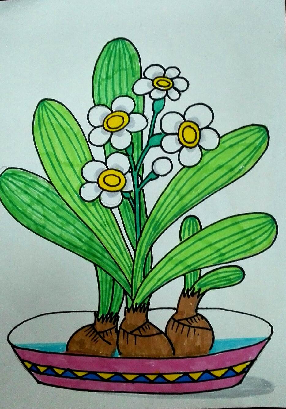 小学生美术作业植物画图片