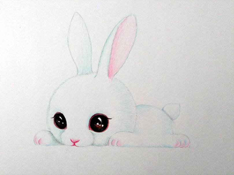 彩铅画十二生肖一一兔子可爱小兔子简笔画怎么画