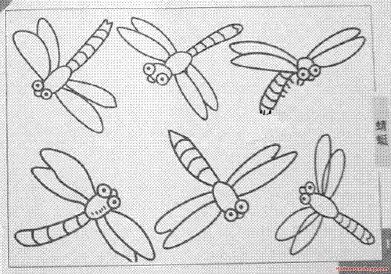 儿童画蜻蜓的画法图片简笔画蜻蜓的画法步骤