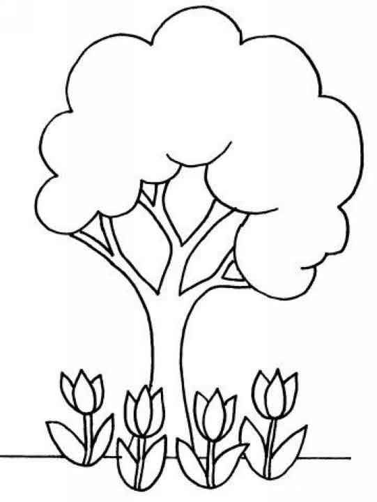 幼儿园春天的植物简笔画:春天的小树