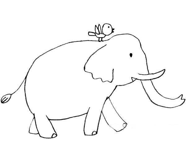 大象正面简笔画简单图片