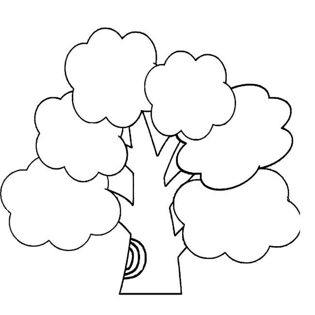 大树结构图简笔画图片