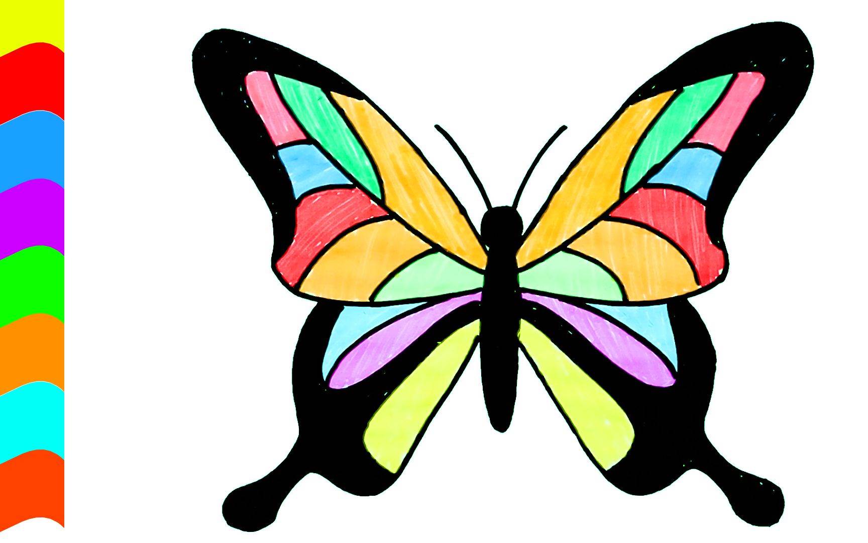 蝴蝶简单图画图片