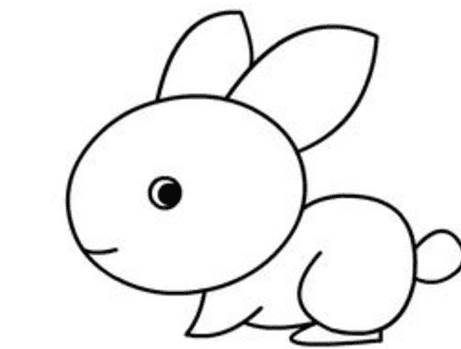 肖兔子简笔画图片
