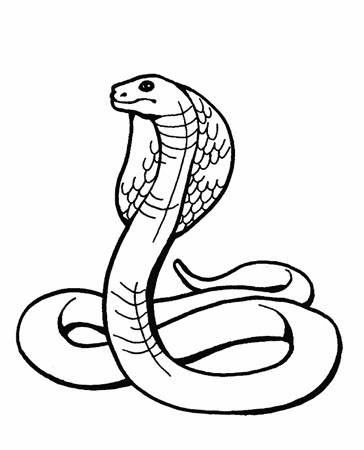 生肖蛇简笔画 恐怖图片