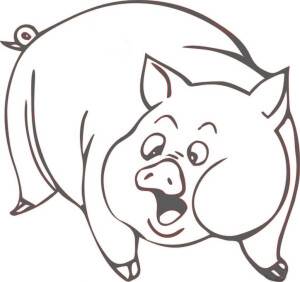 12生肖简笔画 猪图片