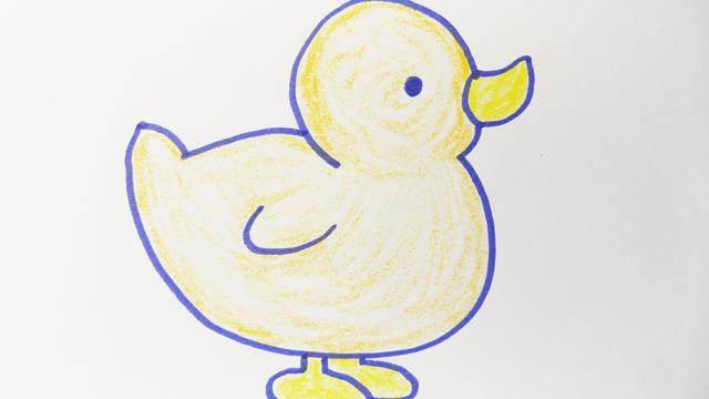 鸭子怎么画简笔画彩色图片