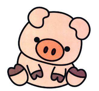 彩色动物简笔画小猪图片