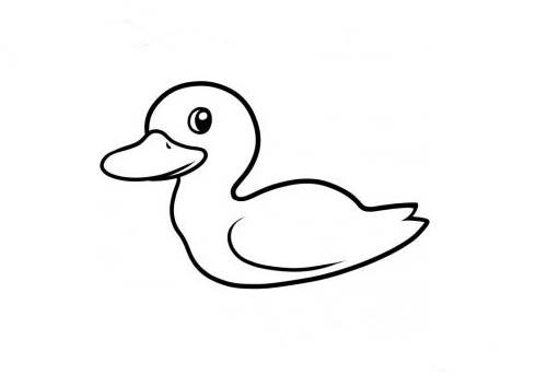 鸭子的画法 小鸭子图片