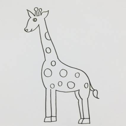 中班简笔画长颈鹿图片