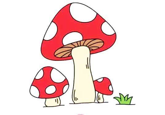 简笔画蘑菇 简单图片