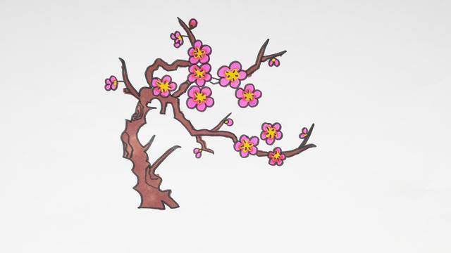 梅花树的简笔画 手绘图片