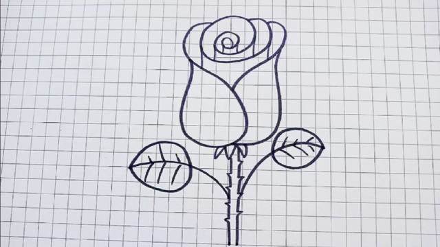 玫瑰花,简笔画 儿童图片