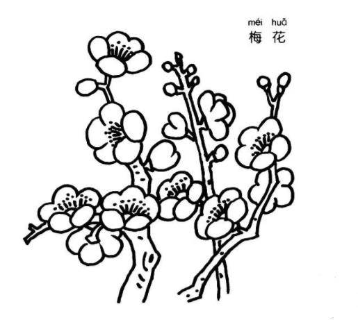 梅花的树枝简笔画图片