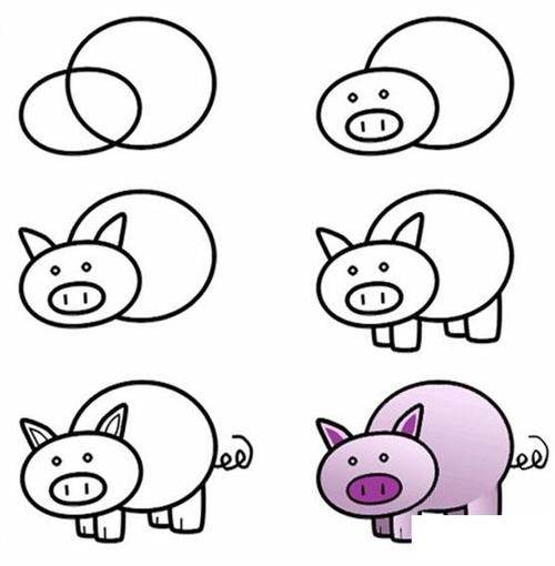 猪的简化画法图片