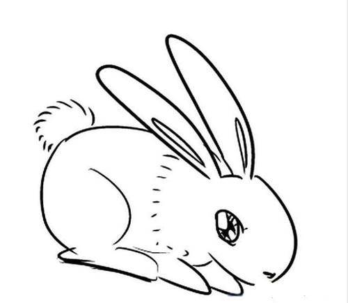 兔子简笔画可爱侧面图片