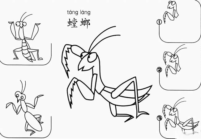 霸气的螳螂怎么画图片